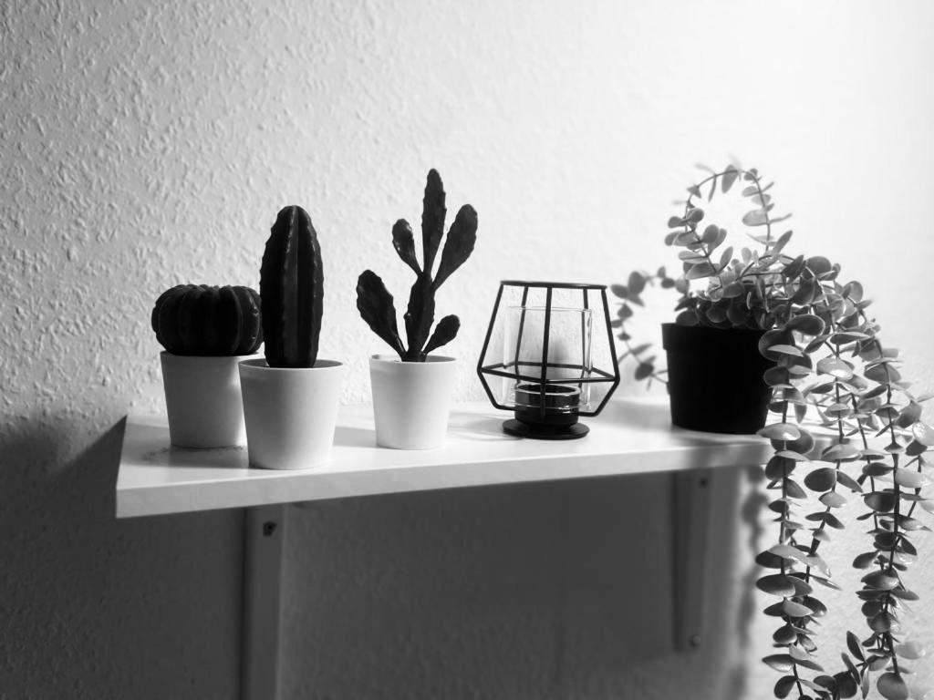 Komfortables Apartment Karlsruhe Luaran gambar